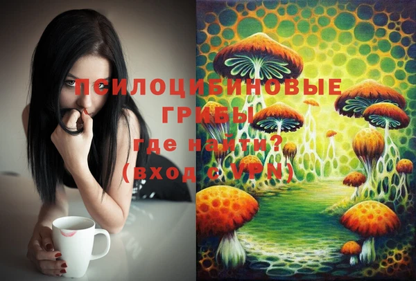 шишки Алексеевка