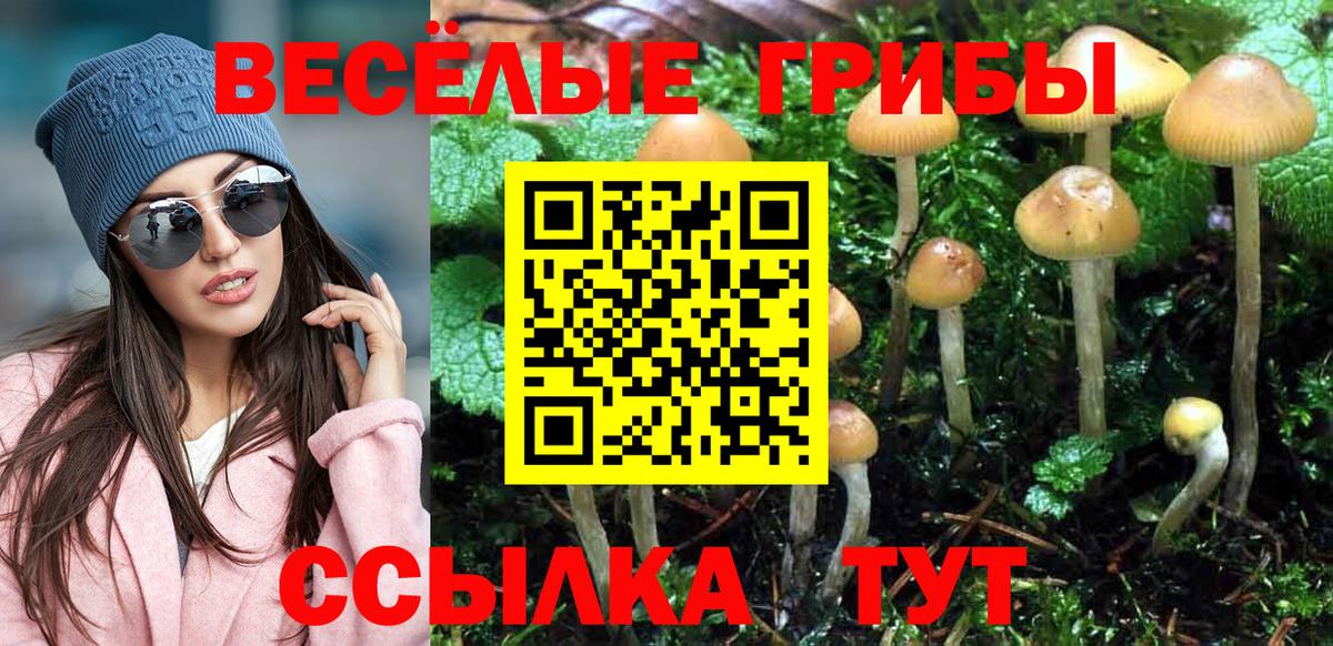 Галлюциногенные грибы мицелий  Вход с VPN  Тара 