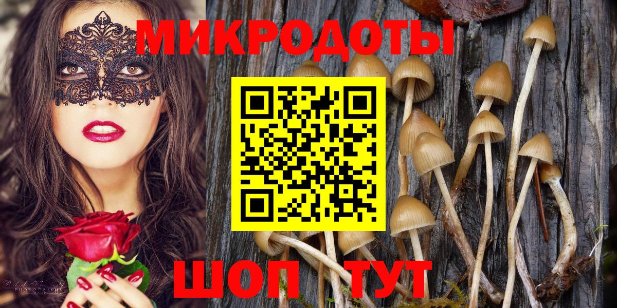 Галлюциногенные грибы прущие грибы Тара