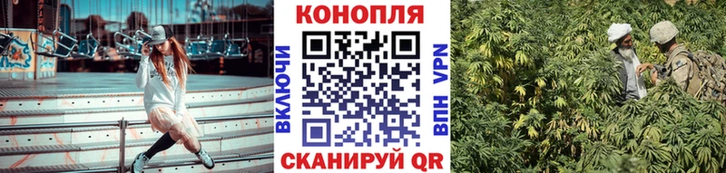 Канабис VHQ Тара